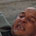 Scena dell�assalto del cane (6)