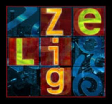Zig Zelig