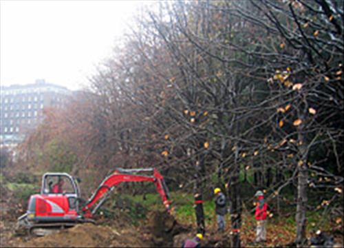 Bosco di Gioia