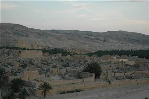 Tamerza