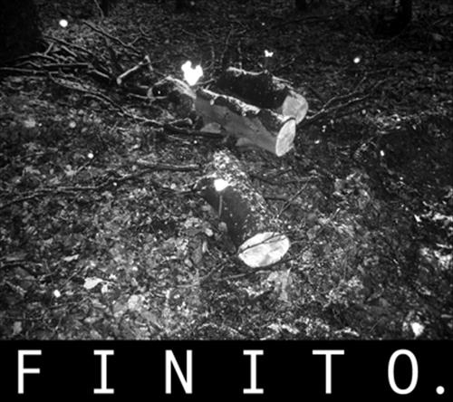 Ultime dal Bosco di Gioia