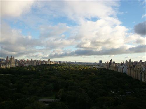 New york New york