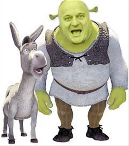 Ancora Shrek?