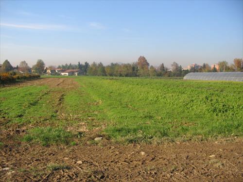 Salviamolamartinella