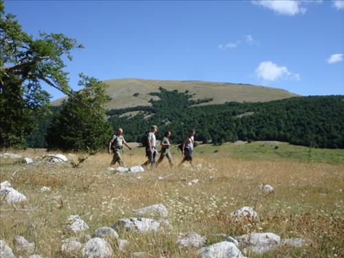Gita nel parco